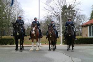 Providence Police: Mounted Command