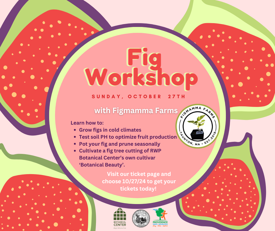 Fig Workshop